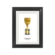 صورة كأس جول ريميه