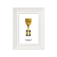 صورة كأس جول ريميه