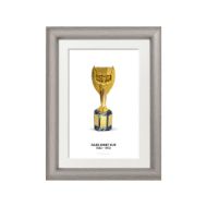 صورة كأس جول ريميه