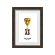 صورة كأس جول ريميه