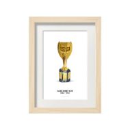 صورة كأس جول ريميه