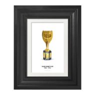 صورة كأس جول ريميه