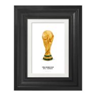 صورة كأس العالم فيفا