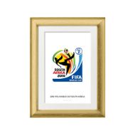 صورة الشعار الرسمي لكأس العالم 2010