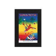 صورة الملصق الرسمي لكأس العالم 1994