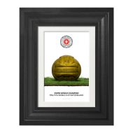 صورة الكرة الرسمية لكأس العالم 1954