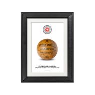 صورة الكرة الرسمية لكأس العالم 1954 (نسخة)