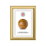 صورة الكرة الرسمية لكأس العالم 1954 (نسخة)