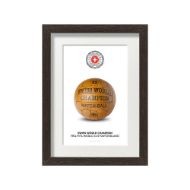 صورة الكرة الرسمية لكأس العالم 1954 (نسخة)