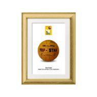 صورة الكرة الرسمية لكأس العالم 1958 (نسخة)