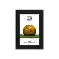 صورة الكرة الرسمية لكأس العالم 1962