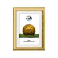 صورة الكرة الرسمية لكأس العالم 1962