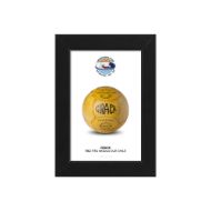 صورة الكرة الرسمية لكأس العالم 1962 (نسخة)