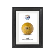 صورة الكرة الرسمية لكأس العالم 1962 (نسخة)