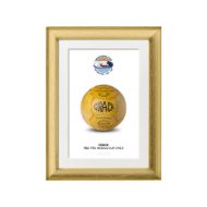 صورة الكرة الرسمية لكأس العالم 1962 (نسخة)