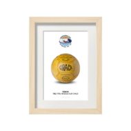 صورة الكرة الرسمية لكأس العالم 1962 (نسخة)