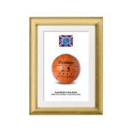 صورة الكرة الرسمية لكأس العالم 1966 (نسخة)