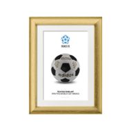 صورة الكرة الرسمية لكأس العالم 1970 (نسخة)