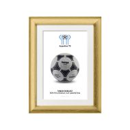 صورة الكرة الرسمية لكأس العالم 1978 (نسخة)