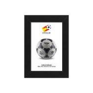 صورة الكرة الرسمية لكأس العالم 1982 (نسخة)