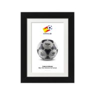 صورة الكرة الرسمية لكأس العالم 1982 (نسخة)