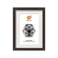 صورة الكرة الرسمية لكأس العالم 1982 (نسخة)