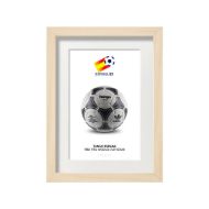 صورة الكرة الرسمية لكأس العالم 1982 (نسخة)