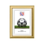 صورة الكرة الرسمية لكأس العالم 1994