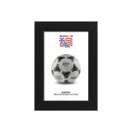 صورة الكرة الرسمية لكأس العالم 1994 (نسخة)