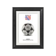 صورة الكرة الرسمية لكأس العالم 1994 (نسخة)