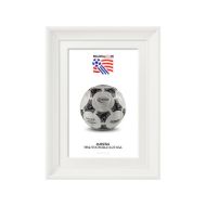 صورة الكرة الرسمية لكأس العالم 1994 (نسخة)