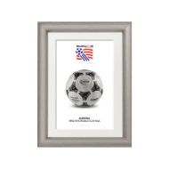 صورة الكرة الرسمية لكأس العالم 1994 (نسخة)