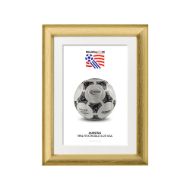 صورة الكرة الرسمية لكأس العالم 1994 (نسخة)