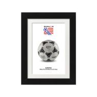 صورة الكرة الرسمية لكأس العالم 1994 (نسخة)