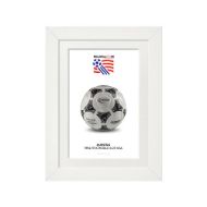 صورة الكرة الرسمية لكأس العالم 1994 (نسخة)