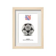 صورة الكرة الرسمية لكأس العالم 1994 (نسخة)