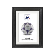 صورة الكرة الرسمية لكأس العالم 1998 (نسخة)