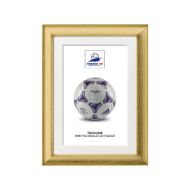 صورة الكرة الرسمية لكأس العالم 1998 (نسخة)