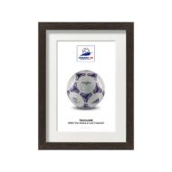 صورة الكرة الرسمية لكأس العالم 1998 (نسخة)