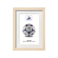 صورة الكرة الرسمية لكأس العالم 1998 (نسخة)