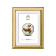 صورة الكرة الرسمية لكأس العالم 2002 (نسخة)