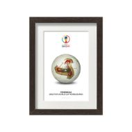 صورة الكرة الرسمية لكأس العالم 2002 (نسخة)