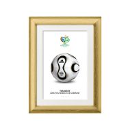 صورة الكرة الرسمية لكأس العالم 2006 (نسخة)