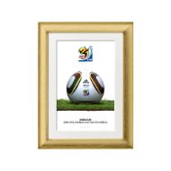 صورة الكرة الرسمية لكأس العالم 2010