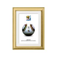 صورة الكرة الرسمية لكأس العالم 2010 (نسخة)