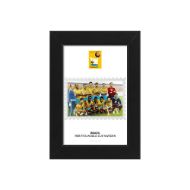 صورة الفائز بكأس العالم 1958 - البرازيل