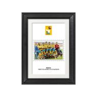 صورة الفائز بكأس العالم 1958 - البرازيل