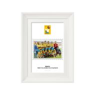 صورة الفائز بكأس العالم 1958 - البرازيل