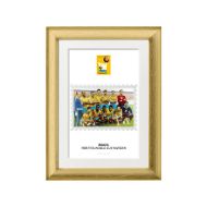 صورة الفائز بكأس العالم 1958 - البرازيل