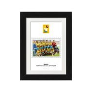 صورة الفائز بكأس العالم 1958 - البرازيل